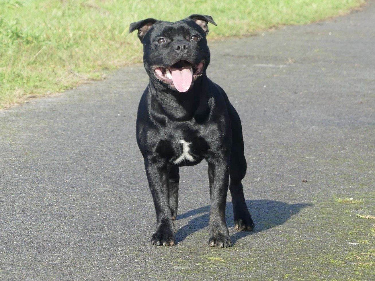 Air jordan Ofthe Puil